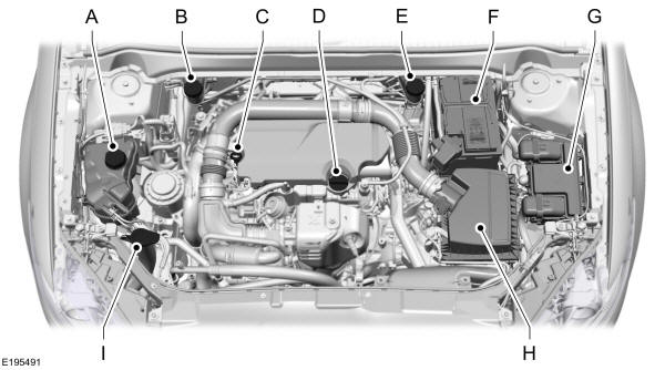 Panoramica del vano motore - 1.0L EcoBoost 