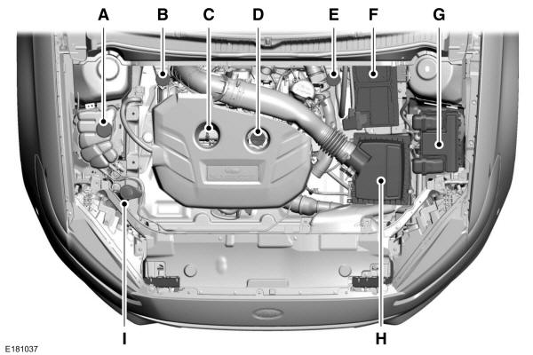 Panoramica del vano motore - 2.0L EcoBoost 