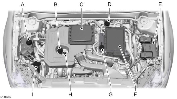 Panoramica del vano motore - 2.0L Ibrido 