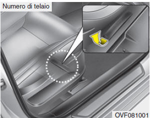 Numero di identificazione veicolo (VIN)