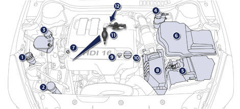 Motori Diesel 