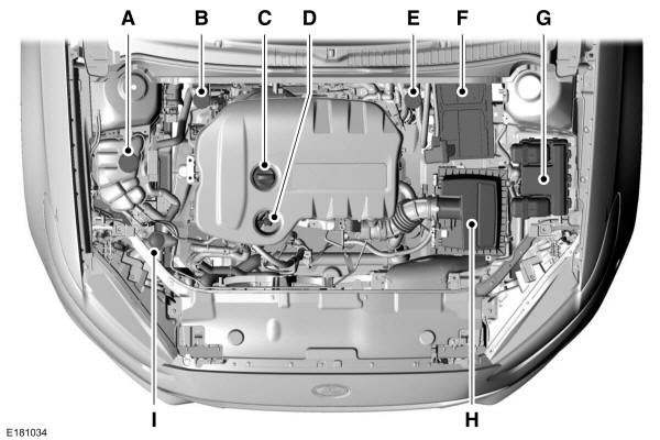 Panoramica del vano motore - 1.5L Duratorq TDCi Diesel 