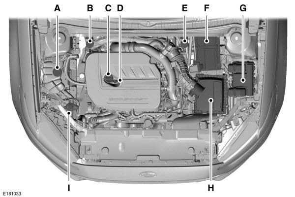Panoramica del vano motore - 1.5L EcoBoost 
