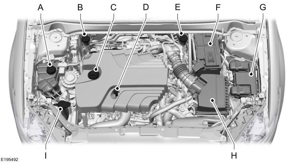 Panoramica del vano motore - 2.0L Diesel 