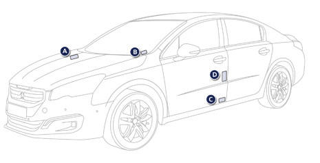 Elementi d'identificazione