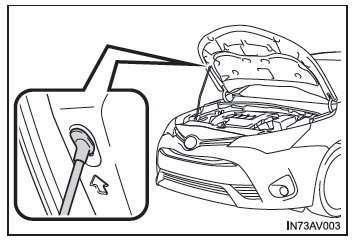 Rilasciare il bloccaggio dall'interno del veicolo per aprire il cofano.
